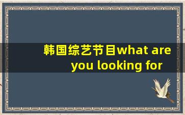 韩国综艺节目what are you looking for